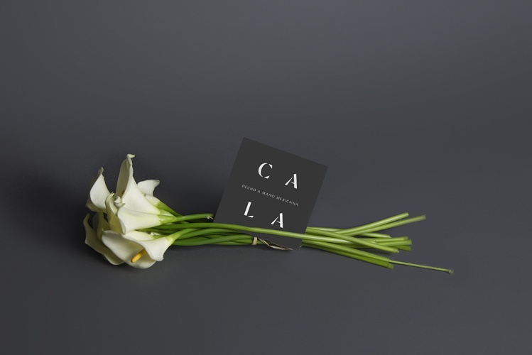Cala家居用品公司vi設(shè)計(jì)，logo字體設(shè)計(jì)