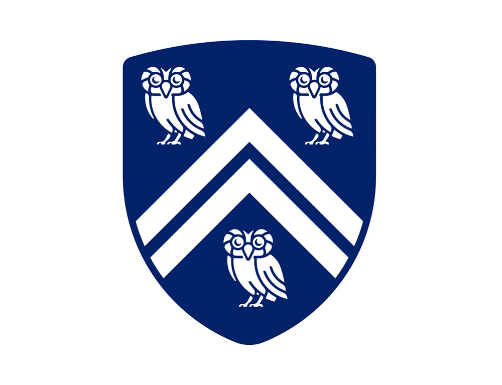 萊斯大學(xué)vi設(shè)計(jì)，品牌形象改造，logo設(shè)計(jì)