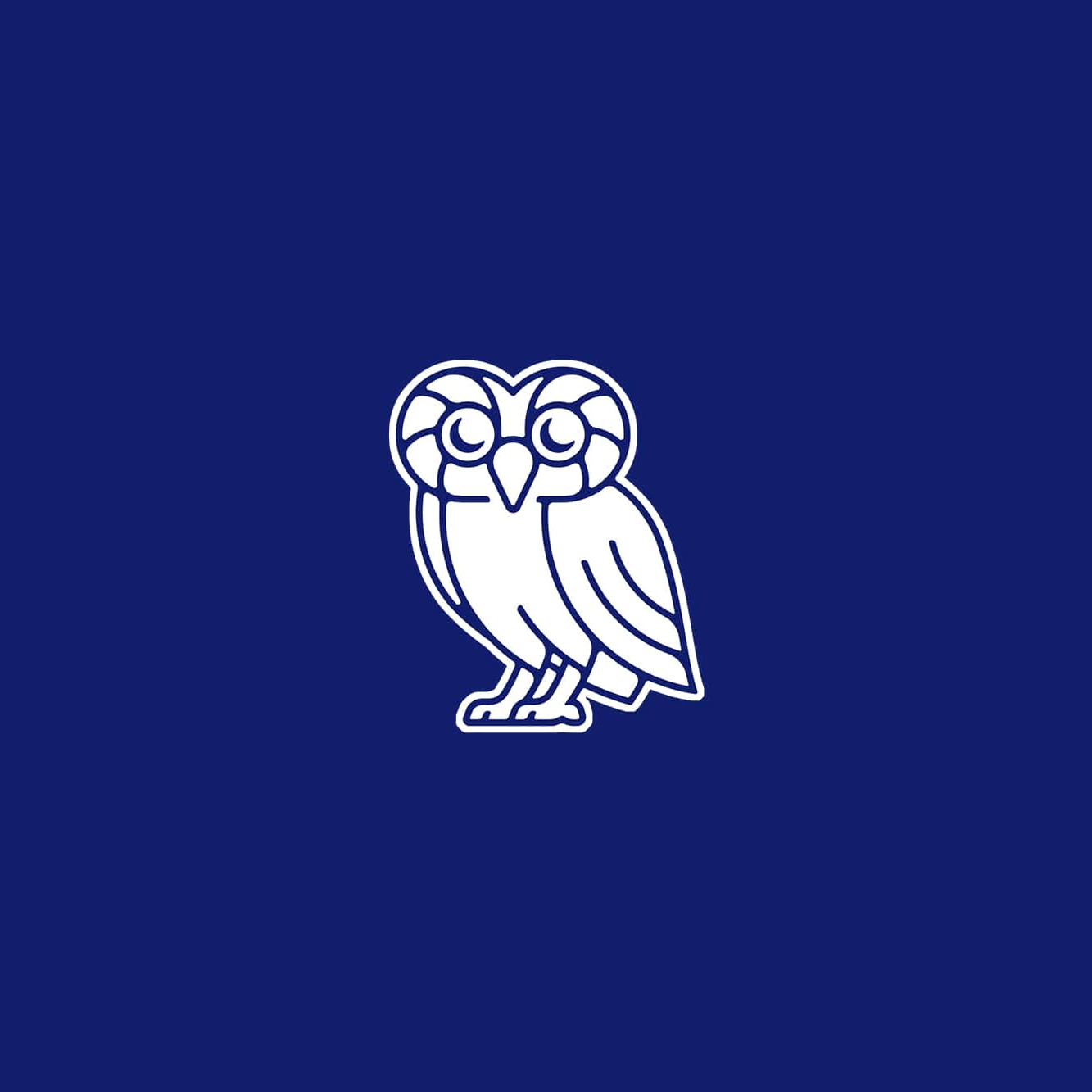 萊斯大學(xué)vi設(shè)計(jì)，品牌形象改造，logo設(shè)計(jì)